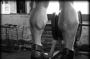 AnimalPak AnimalPak: Brand Those Calves
